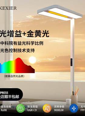 金黄光护眼大路灯智能儿童学习阅读落地灯办公写作专用钢琴台灯