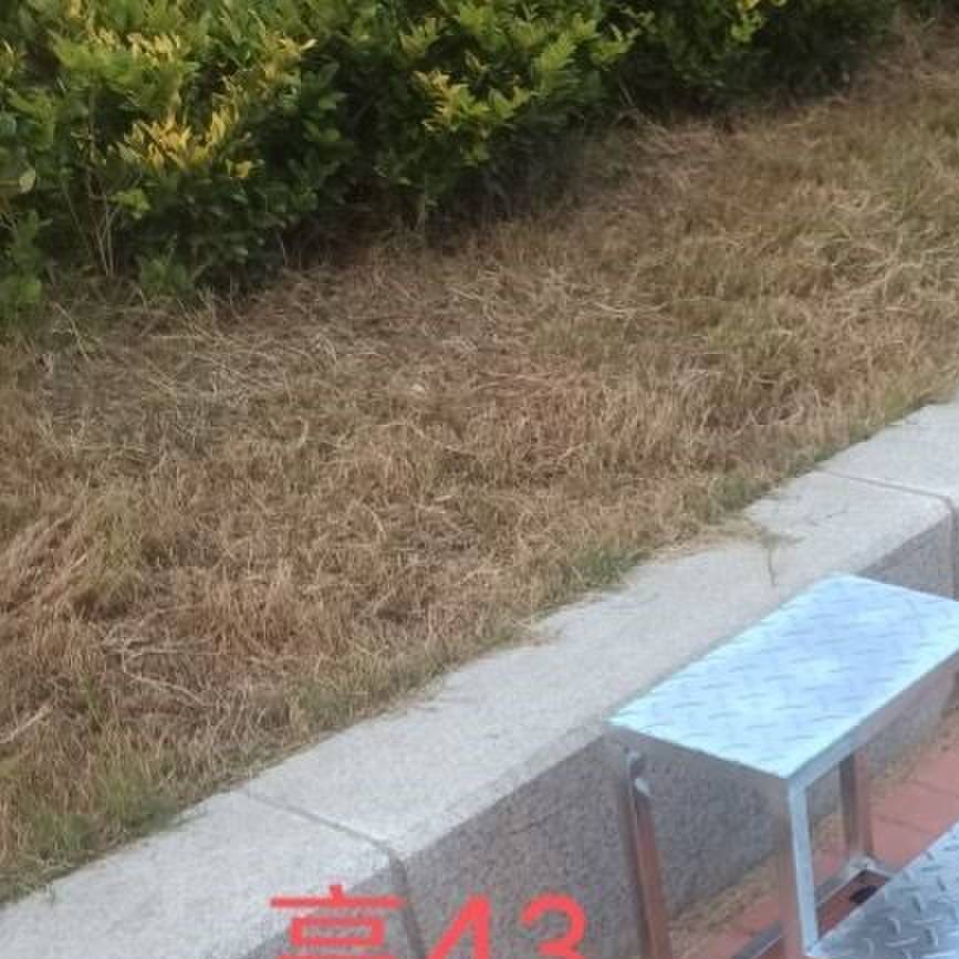 不锈钢踏步梯楼梯台阶家用移动梯子小楼梯脚踏梯凳子两步三步凳