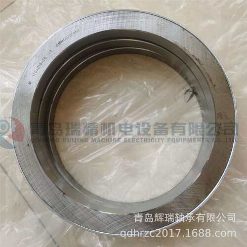 GMN迷宫式金属油封M170X210X20机械密封件170mmX210mmX20