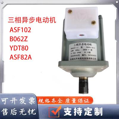 微型三相异步电动机 ASF82A 60W 80W 140W YWZ液压制动器电机