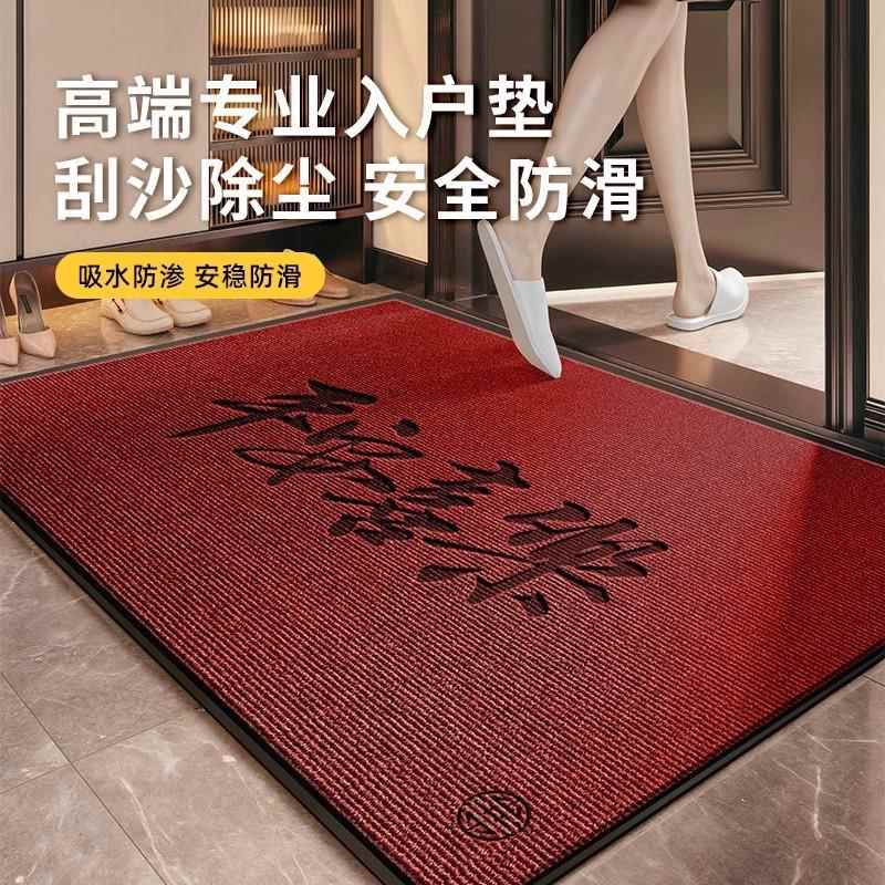 入户门地垫防滑门口进门耐脏2025新款门外脚垫地毯家用玄关室外