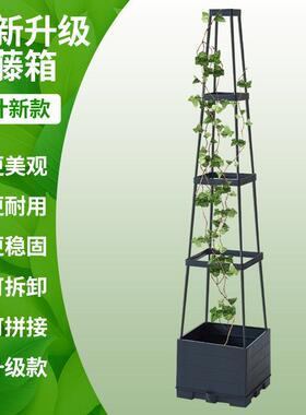 亚马逊外贸爬藤箱种植箱阳台种菜箱户外组合盆跨境绿植