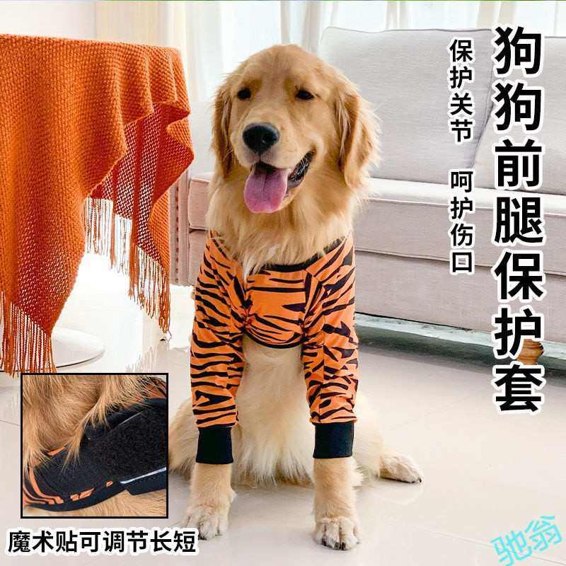 H2W狗狗护膝夏季薄款护肘衣服前腿肘关节保护套中大型犬狗护腿套,宠物/宠物食品及用品,狗宠物服装/雨衣,淘宝优惠券,粉丝福利购,淘宝优惠卷