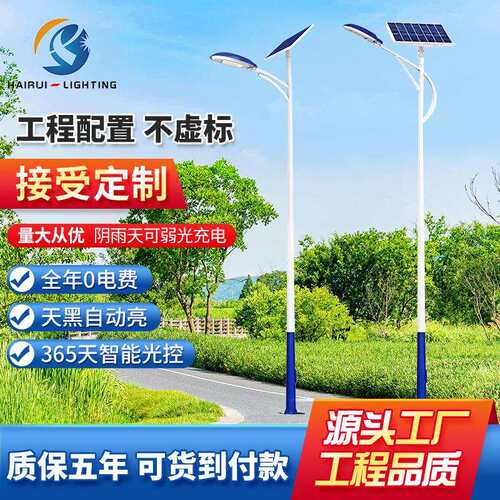 新农村建设高亮大功率天宝太阳能路灯市政道路照明6米l8米led