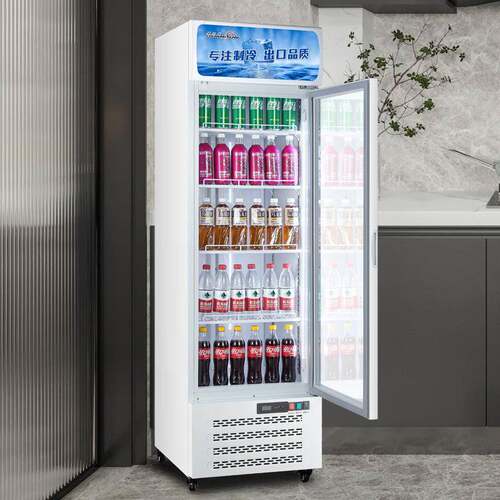 奥达信单门饮料展示柜冰箱商用冰柜双门食品保鲜柜三门冷藏柜厂家