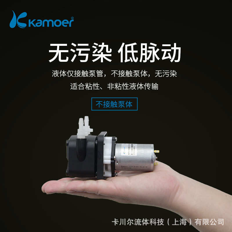 卡默尔蠕动泵 12v微型水泵自吸泵迷你小泵 24v小型直流有刷抽水泵