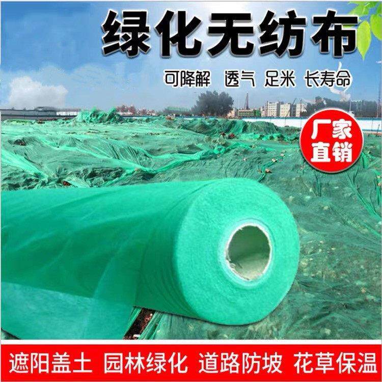 绿化不织布绿色园林护坡边坡工地防尘盖土布草坪值草籽不织布整卷