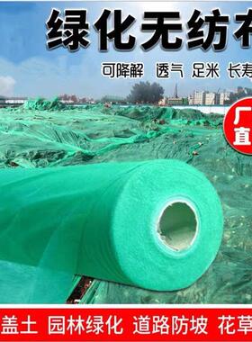 绿化不织布绿色园林护坡边坡工地防尘盖土布草坪值草籽不织布整卷
