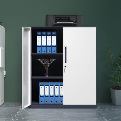 白色办公铁皮文件柜办公室矮柜资料装窄薄储边物柜凭证档sh-zbag