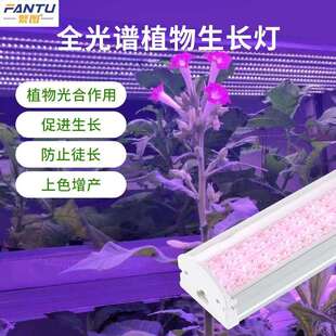 植物生长灯全光谱led灯条仿太阳光花卉绿植多肉叶菜育苗补光灯管