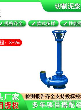 NL系列小型切割泥浆泵加厚长杆立式泥浆泵防汛抢险清淤抽泥抽浆泵