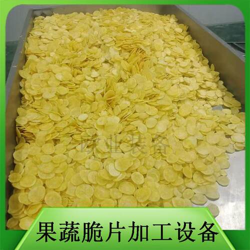 第四代VF真空油炸机 果蔬脆片加工设备厂家 新型低温真空油炸罐