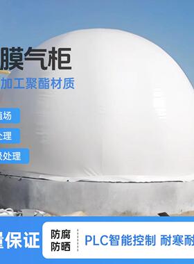 污水垃圾餐厨养殖场沼气加厚PVDF储气柜储气池工厂球形双膜气柜