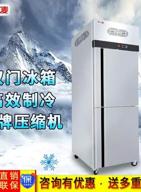 商用上下双门风冷冷藏柜商用插盘保鲜冰柜餐厅立式双门冰箱