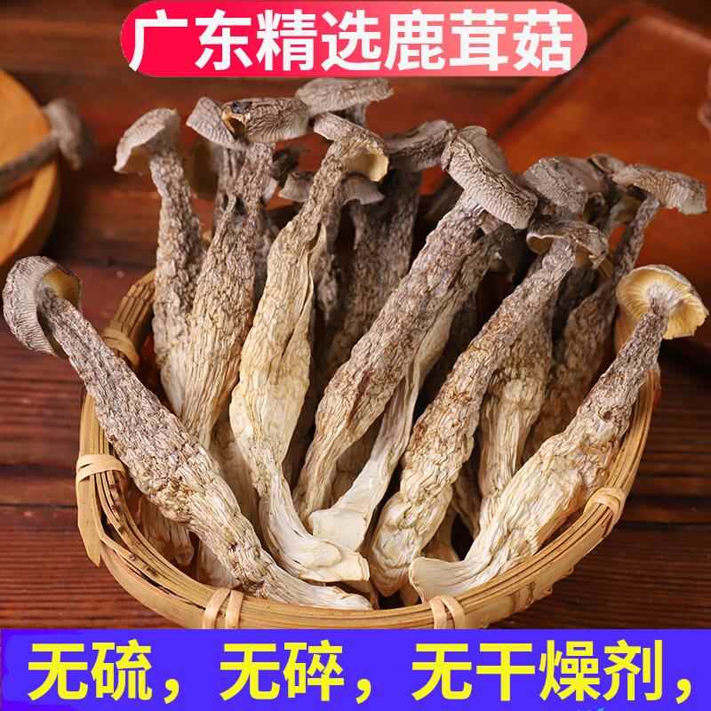 鹿茸菇干货500g广东特产特级野生脆脆菇煲汤炒菜蘑菇食材新货
