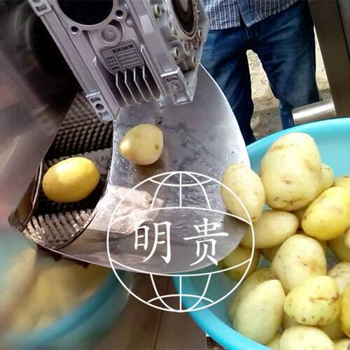 毛辊清洗去皮机马铃薯自动脱皮机螺旋毛辊磨皮设备
