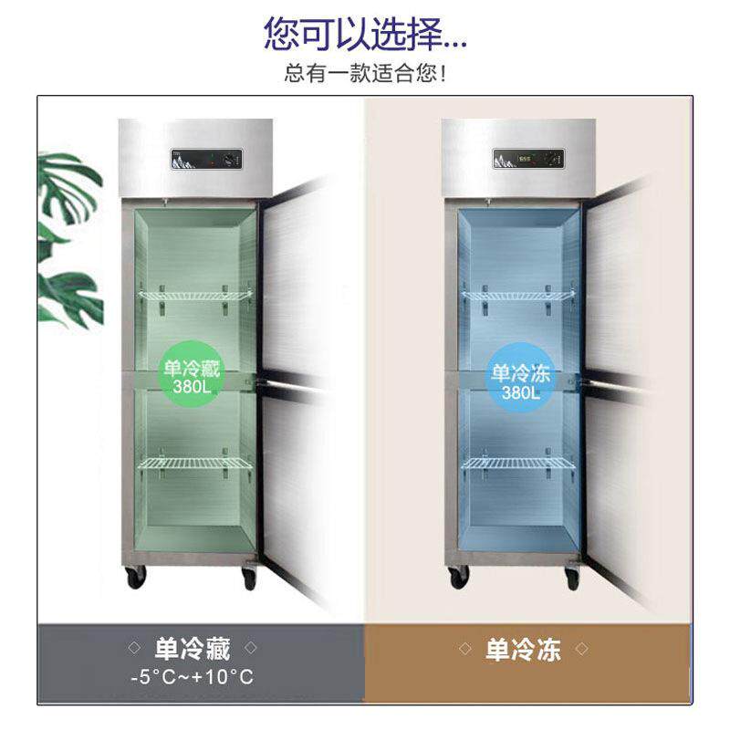 两门商用冰箱双开门立式冷藏冷冻双温大容量酒店厨房冰柜