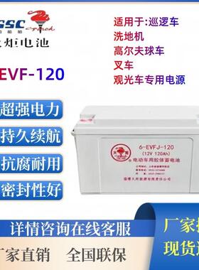 火炬蓄电池6-EVF-106-EVF-120 6-EVF-150清洁车电动四轮车观光车
