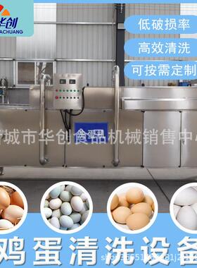 蛋制品工厂用洗蛋机 单排双排蛋品清洗风干机 无菌蛋去泥刷洗机