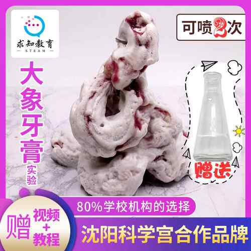 儿童科技小制作DIY大象的牙膏科学实验玩具学生化学材料大象牙膏