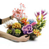 鱼缸仿真珊瑚造景 饰贝壳假水草珊瑚礁水景套餐组合 水族箱海水装