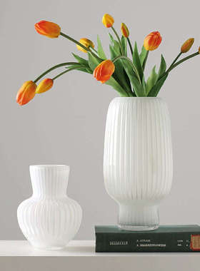 isn风花瓶玻璃花盆白色高级感轻奢水培养插花客厅桌面装饰摆件