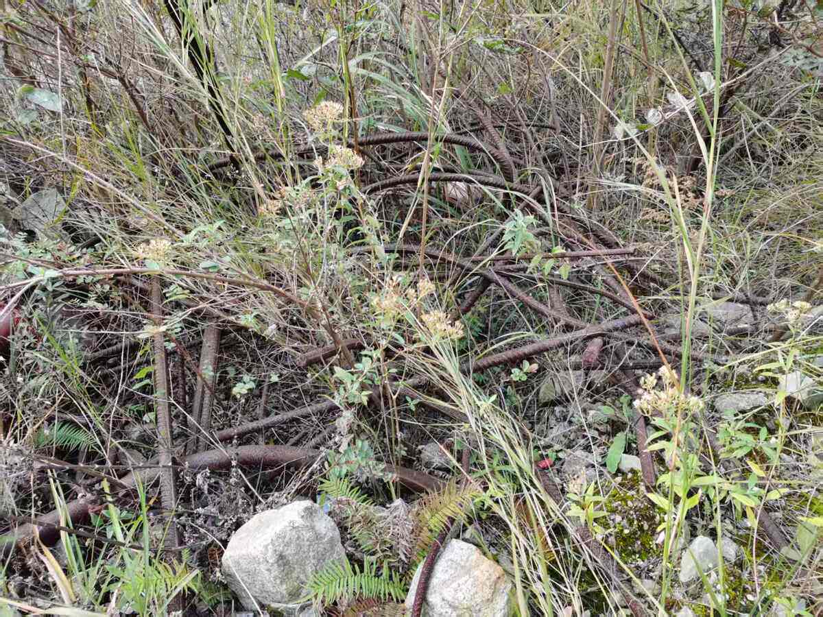 5月9日阿坝市矿业投资开发公司废铁资产网络拍卖公告