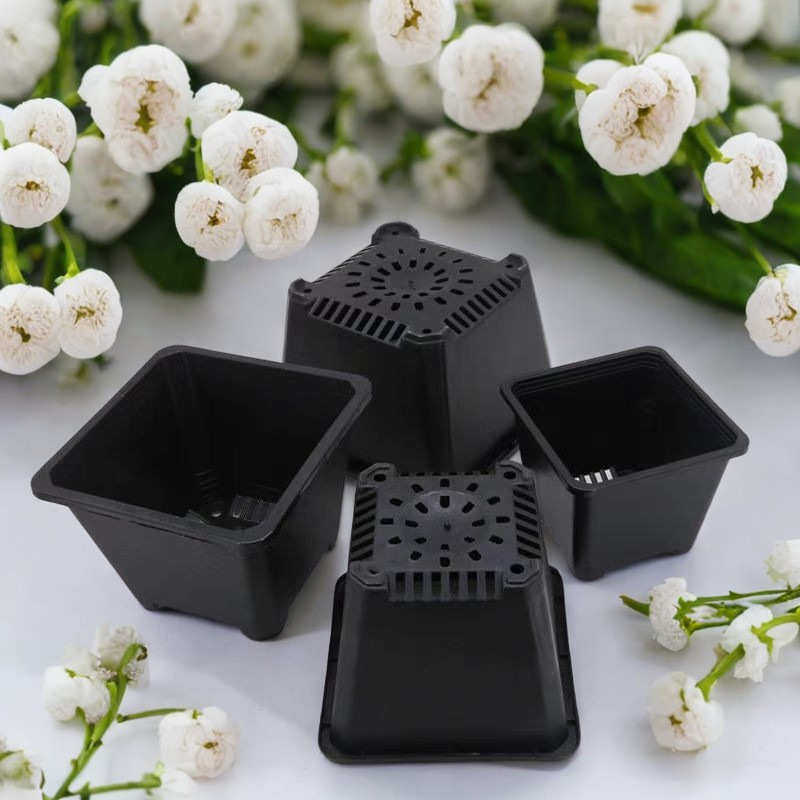 景天盆黑方白方多肉盆厂家批发多肉育苗盆基地花盆电商基地用,鲜花速递/花卉仿真/绿植园艺,花盆,淘宝优惠券,粉丝福利购,淘宝优惠卷