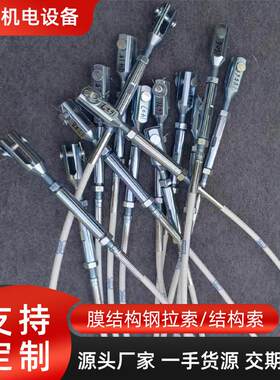 工厂直销钢拉索桥梁拉索雨棚钢丝绳钢索拉索桥梁钢结构浇铸拉索