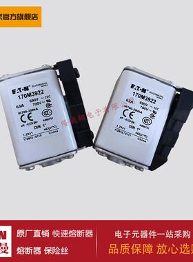 熔断器170M3923 170M3924 170M3925 170M3926 170M3927 170M3928