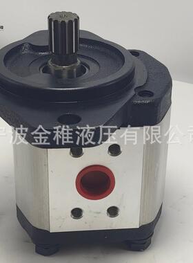 R902650650 齿轮泵煤矿机械掘进机用液压油泵