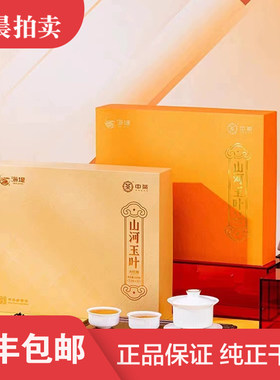 【1套】海堤茶叶CTA6621山河玉叶中小叶高香品种240克(48泡)红茶