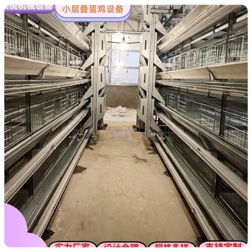养殖立体全自动化多层H型蛋鸡设备/龙门/背负式喂料/小层叠
