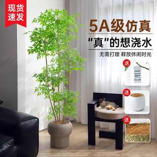 临雅仿真南天竹绿植北欧ins风植物室内网红大型客厅盆栽