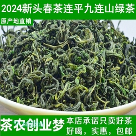 绿茶茶叶2024春茶清明茶广东河源连平紫金高山炒茶茶叶500g清香茶