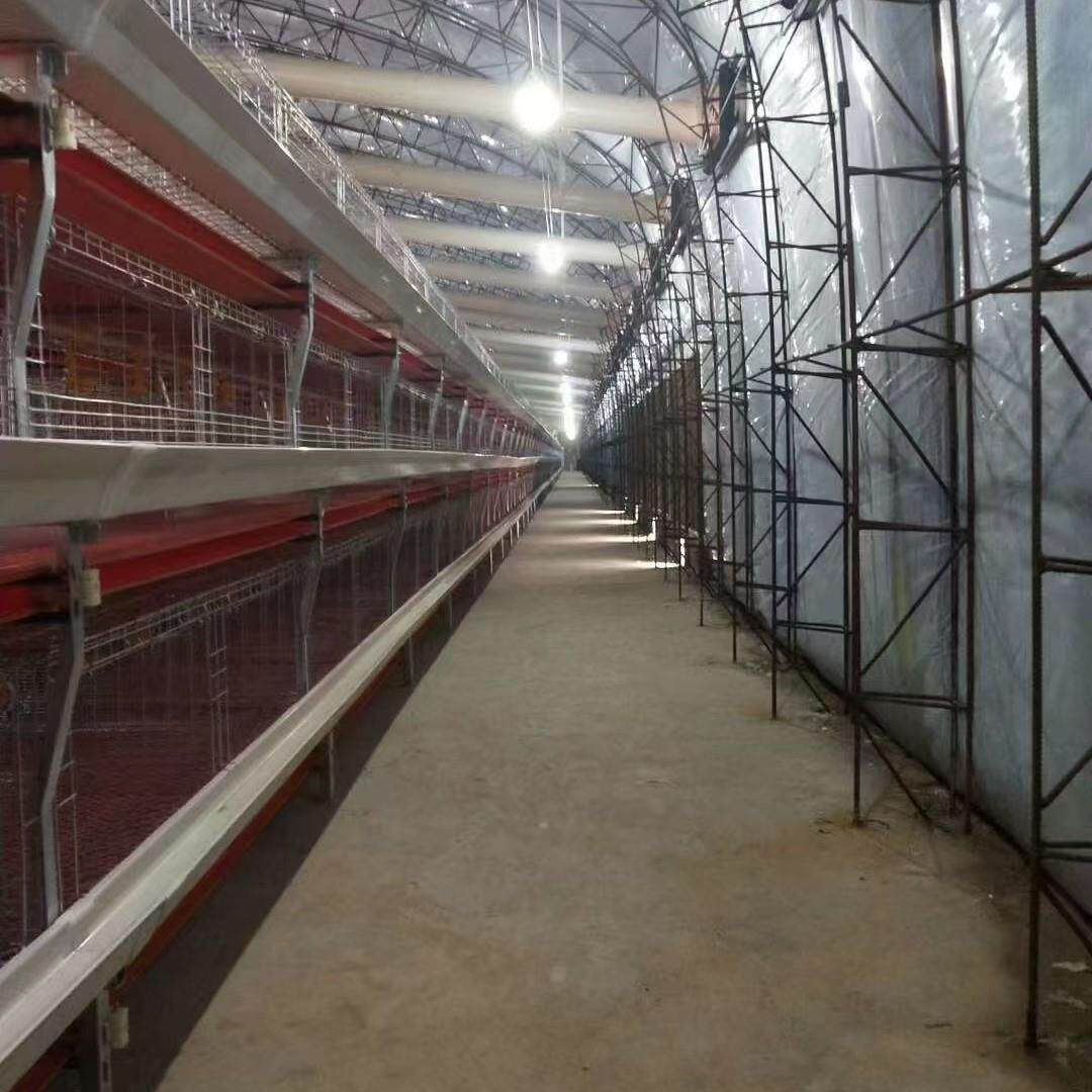 元宝鸡型肉鸡笼全自动半自动JLE立式肉鸡笼养H殖场用鸡笼型肉肉笼