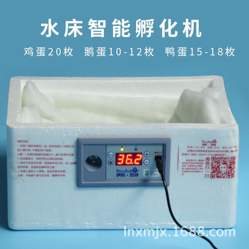 新款直销仿生水床孵化机 家用型20枚孵化器小型 自动控温孵蛋器