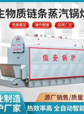 厂家供应大型工业生物质蒸汽锅炉6吨生物质蒸汽锅炉烧柴锅炉