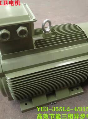 山东源头厂家直供YE3-355L2-4/315W低噪音三相异步电动机质保