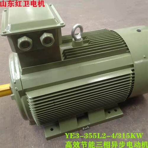 山东源头厂家直供YE3-355L2-4/315W低噪音三相异步电动机质保