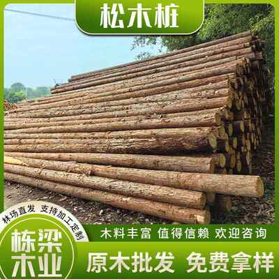 松木桩木材原木加工原木木桩打桩松木桩杉防汛整治木桩林场直销