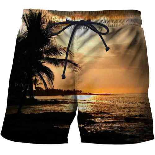 Sports Men's Shorts Summer Beach Shorts Source
