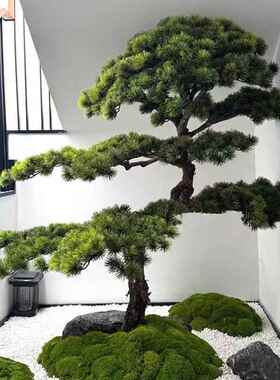 仿真绿色植酒物迎客松生造植物罗汉松假树商场店观AFG装饰型大型
