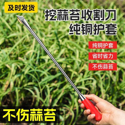 Garlic scape harvesting knife, a tool for pulling garlic sca