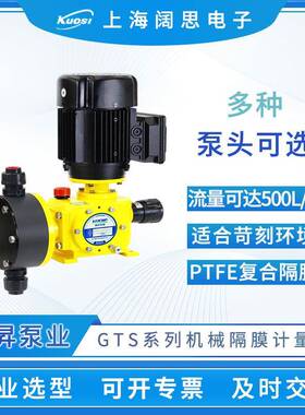 慧昇泵业机械隔膜计量泵GTS系列三相电机PVC/PVDF泵头排污加药泵