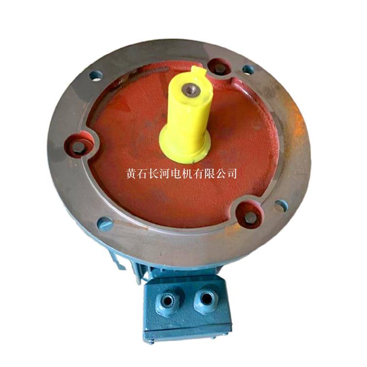 微型防水电机YLZ100L1-4/2.2KW