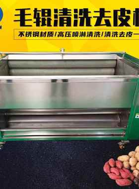 全自动毛辊红薯去皮清洗机毛刷式摆摊黄姜芽去泥清洗机土豆去皮机
