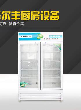 立式商用冰箱冷藏展示柜冰啤酒饮料饮品保鲜双门陈列柜立式冷柜