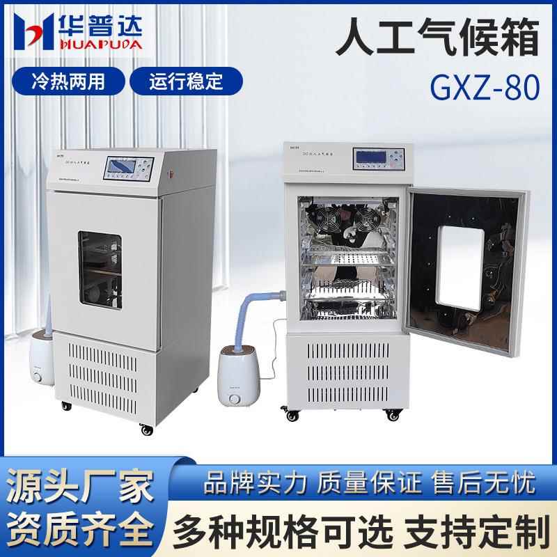 GXZ-80人工气候箱实验室植物种子催芽箱电热恒温恒湿光照培养箱