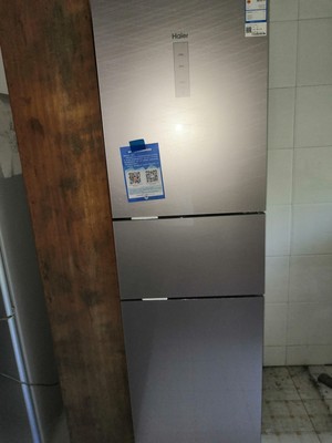 这款海尔 BCD-225WDCJ(DZ)冰箱怎么样，缺点有哪些？